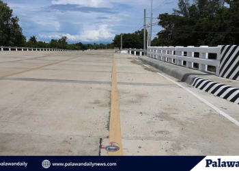 DPWH delivers safer wider Parian bridge for Narra motorists