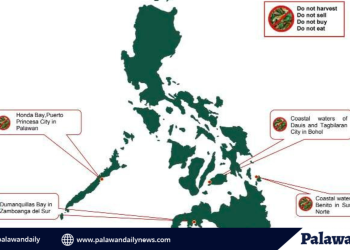 Authorities implement shellfish ban as red tide toxins detected in Honda Bay