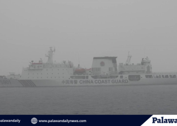China illegally anchors massive ship near Palawan