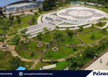 Balayong tree planting and nurturing to be held on July 27