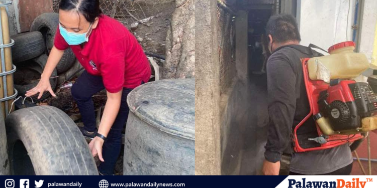 Provincial health office, pinaigting ang kampanya kontra dengue sa Palawan