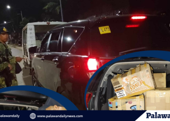 PNP Maritime Group Seizes ₱305,000 worth of smuggled cigarettes in Puerto Princesa