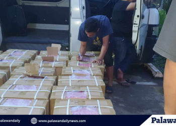 Dalawang katao, huli dahil sa ilegal na mga sigarilyo sa puerto princesa