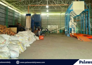 Luzon-based company as the country’s first certified biomass production facility