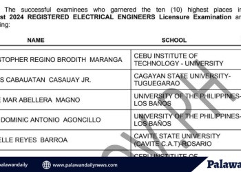 Palawan SU grad lands 6th place in electrical engineering licensure exam