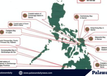 Shellfish ban still in effect within Puerto Princesa Bay