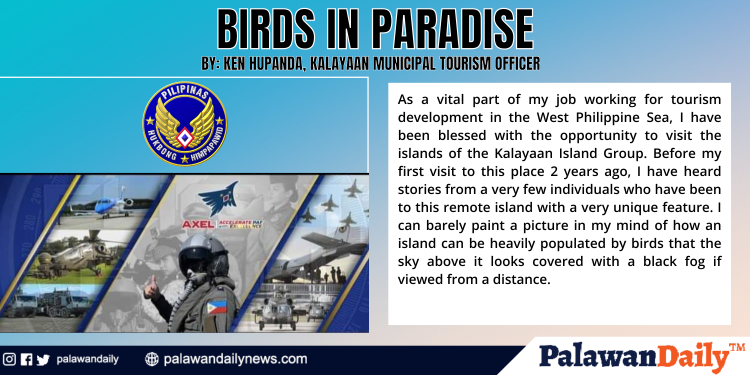 Birds in paradise