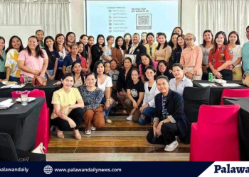 Over 8,000 solo parents in palawan receive ongoing support from provincial government