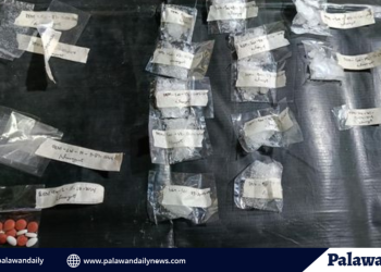 PDEA operation uncovers ₱????????????K in suspected narcotics in puerto princesa residence