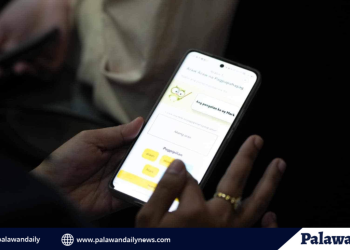 Palawan state university it students showcase tagalog-cuyunon translator app to provincial government