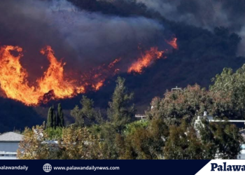 Windstorm in california worsening wildfire spread