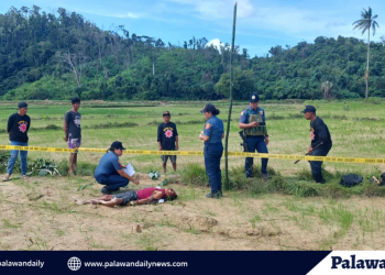 Farmer killed in land dispute in taytay, palawan