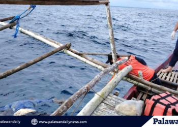 Puerto Princesa fisherman’s body fished out off aborlan waters