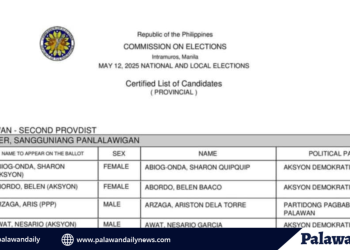 Tingnan: Narito ang mga pangunahing kandidato para sa lokal na posisyon sa palawan sa darating na halalan sa mayo 2025