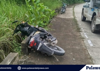 French National at angkas nito, nawalan ng kontrol sa motorsiklo