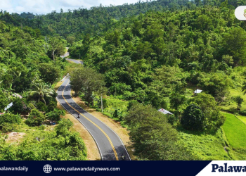 ASHALT overlay projects brings safer roads, smoother travel to taytay, palawan