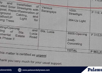 Pamahalaang lunsod, planong mangutang ng mahigit P963 milyon para sa walong proyekto, kabilang ang flood control sa barangay san Pedro