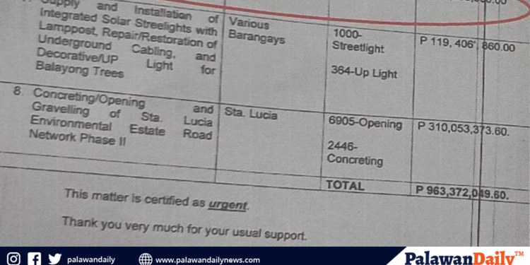 Pamahalaang lunsod, planong mangutang ng mahigit P963 milyon para sa walong proyekto, kabilang ang flood control sa barangay san Pedro