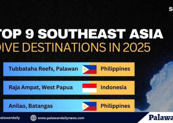 Philippine tops the list of the most beautiful diving destinations in southeast asia for 2025