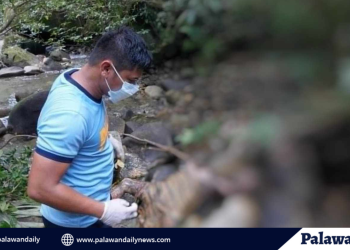 Bangkay ng babae, natagpuan sa ilog ng bataraza, Palawan