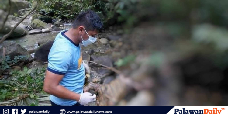 Bangkay ng babae, natagpuan sa ilog ng bataraza, Palawan