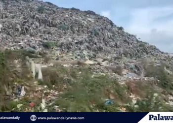 Modernong sanitary landfall, panawagan para sa mas malinis na puerto princesa