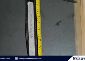 Magsasaka, pinagtataga ng kasamahan sa inuman sa narra