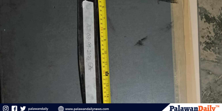 Magsasaka, pinagtataga ng kasamahan sa inuman sa narra