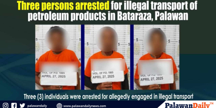 Ipo-ipo, namataan sa tagkawayan beach: cdrrmo nagsagawa ng aerial inspection