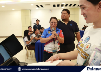 White smoke signals new pope elected