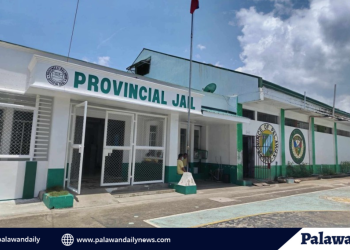 In photos: u.s., philippine, and australian forces train in jungle terrain in puerto princesa