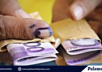 White smoke signals new pope elected