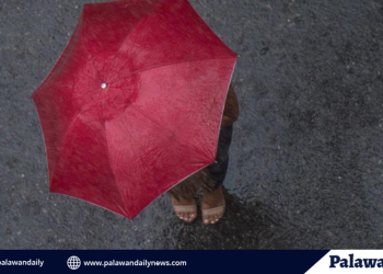 BFAR assists linapacan fisherfolk to boost squid and other fishery commodities