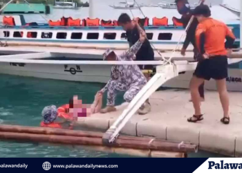 After a night out, a tourist’s disappearance in el nido sparks swift response- and relief