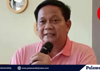 Ipo-ipo, namataan sa tagkawayan beach: cdrrmo nagsagawa ng aerial inspection