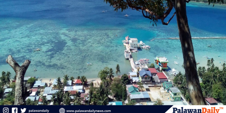 BFAR assists linapacan fisherfolk to boost squid and other fishery commodities