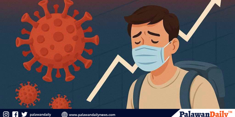 After a night out, a tourist’s disappearance in el nido sparks swift response- and relief