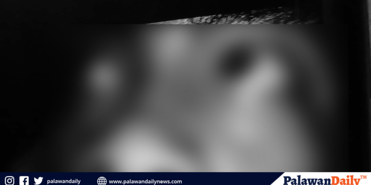 Taxumo and bpi offers msmes with faster loan