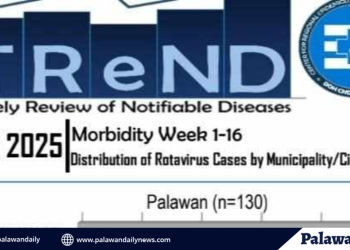 Ipo-ipo, namataan sa tagkawayan beach: cdrrmo nagsagawa ng aerial inspection