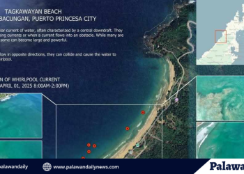 Ipo-ipo, namataan sa tagkawayan beach: cdrrmo nagsagawa ng aerial inspection