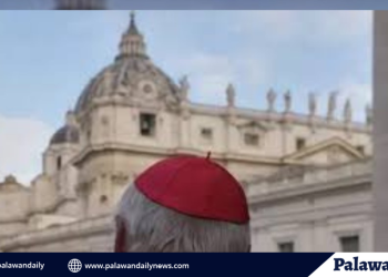 Ipo-ipo, namataan sa tagkawayan beach: cdrrmo nagsagawa ng aerial inspection