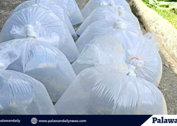 Ippf launches tilapia fly hauling and stocking initiative