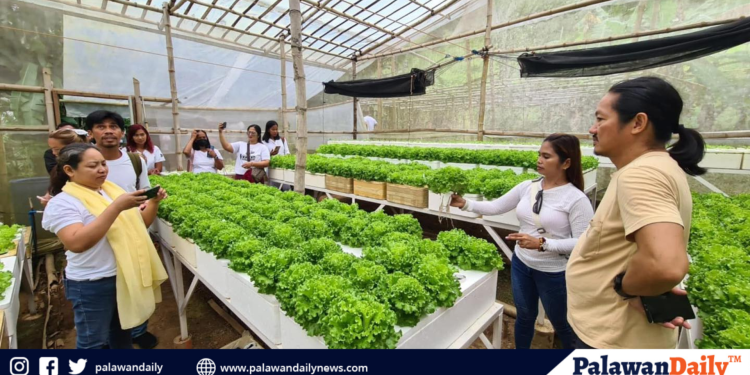 Ilang pastor nabiktima ng umanoy’y accommodation scam sa puerto princesa