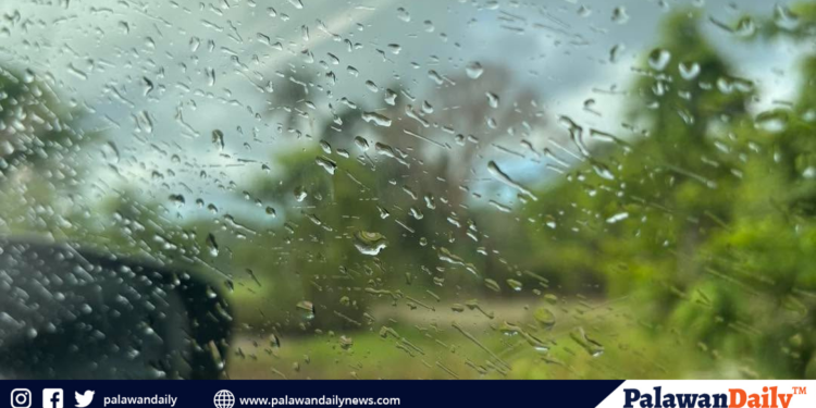 Mahigit 300 volunteers, nakiisa sa coastal at underwater clean-up sa el nido