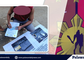ARKI Passers, Topnotchers binigyang pugay ng Palawansu
