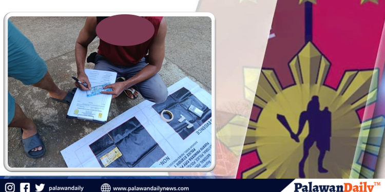 ARKI Passers, Topnotchers binigyang pugay ng Palawansu