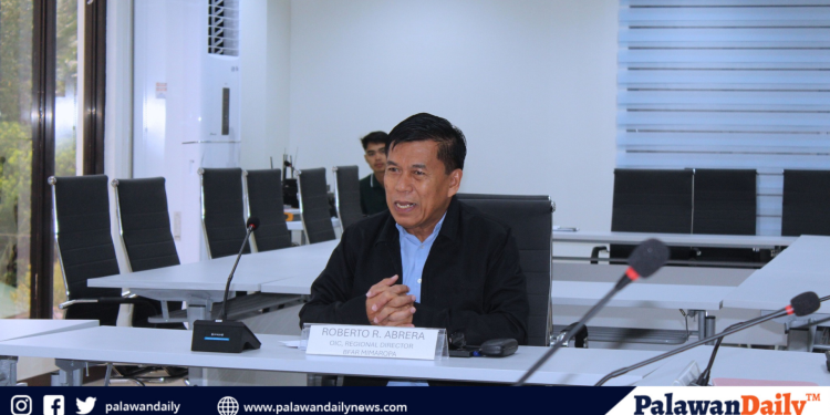 Imelda Schweighart says cake critique was personal opinion, not generalization