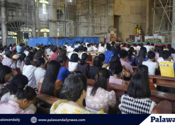 ARKI Passers, Topnotchers binigyang pugay ng Palawansu