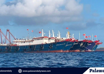 Imelda Schweighart says cake critique was personal opinion, not generalization