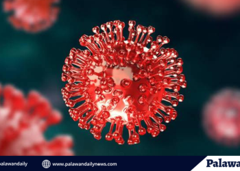 Pinakabatang kaso ng hiv sa bansa, isang 12-anyos mula palawan- doh